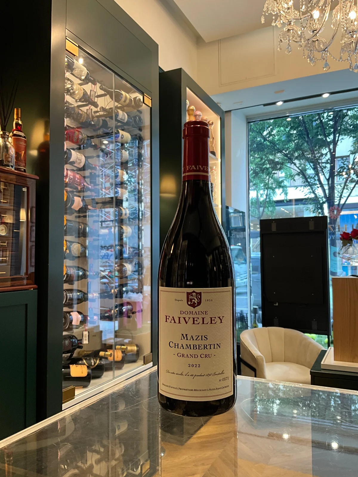 Domaine Faiveley 2022 Mazis Chambertin Grand Cru 750ml — Domaine Faiveley