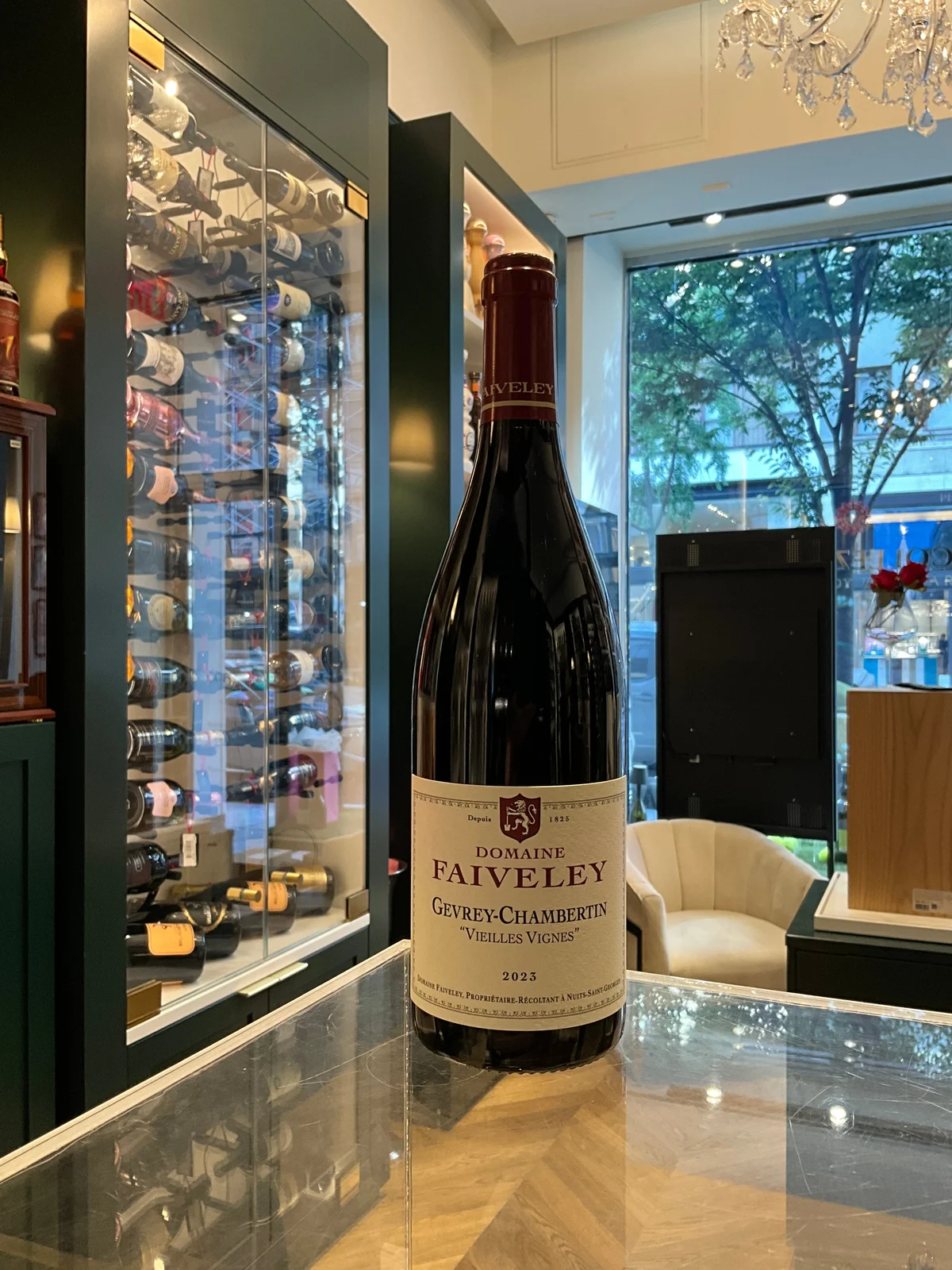 Domaine Faiveley 2023 Gevrey Chambertin Vielles Vignes 750ml — Domaine Faiveley