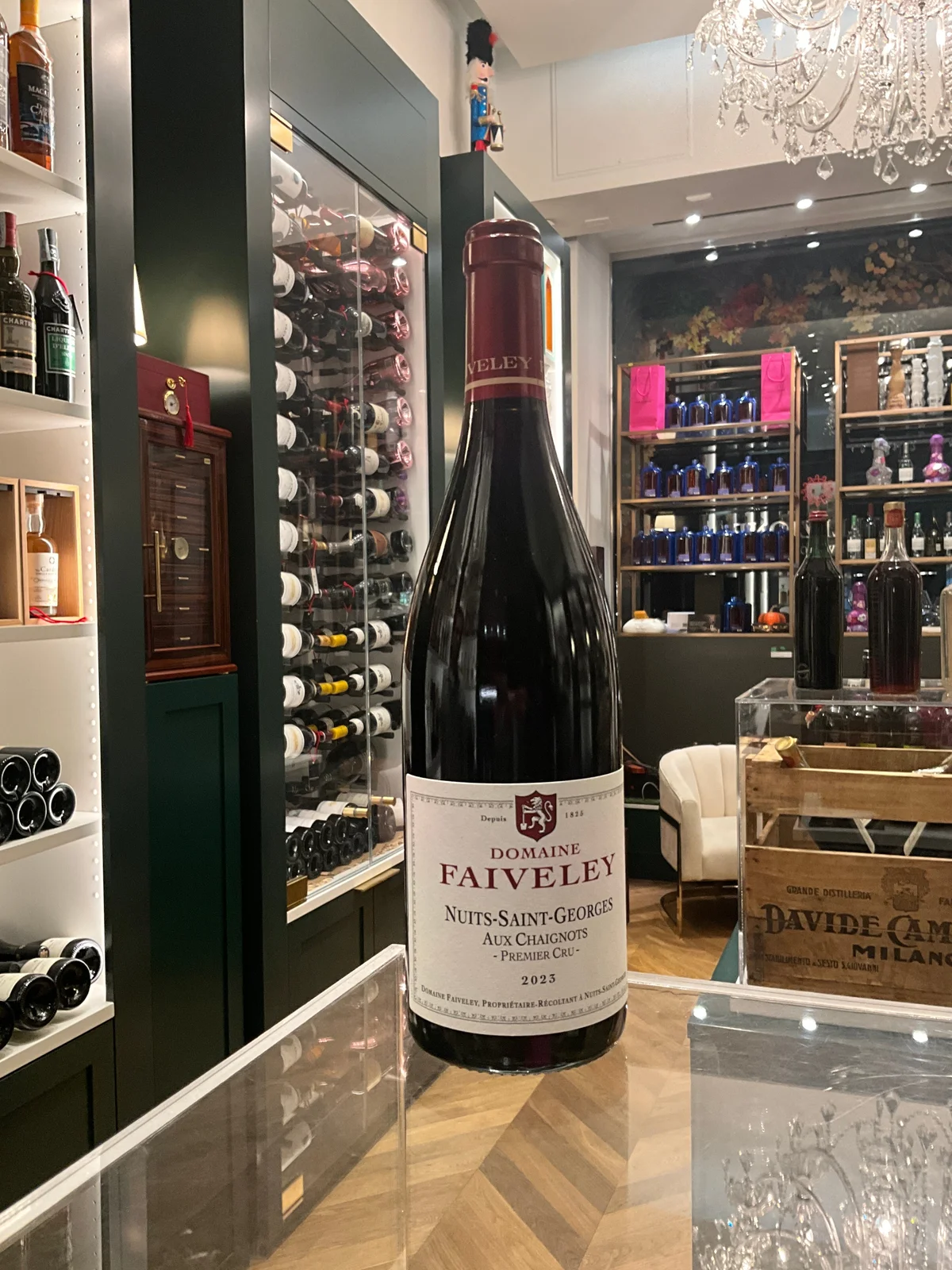 Domaine Faiveley 2023 Nuits-Saint-Georges Aux Chaignots 1er Cru 750ml — Domaine Faiveley